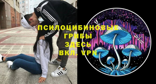 молекула духа Протвино
