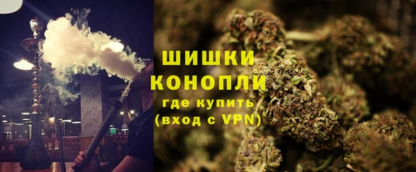твердый Володарск