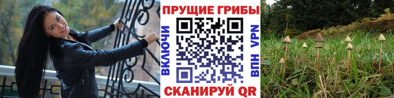 Галлюциногенные грибы Magic Shrooms  mega ССЫЛКА  Кинель  закладка 